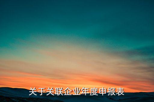 什么是關(guān)聯(lián)申報(bào)表，小規(guī)模納稅人2013年年報(bào)年度關(guān)聯(lián)企業(yè)申報(bào)表怎么填