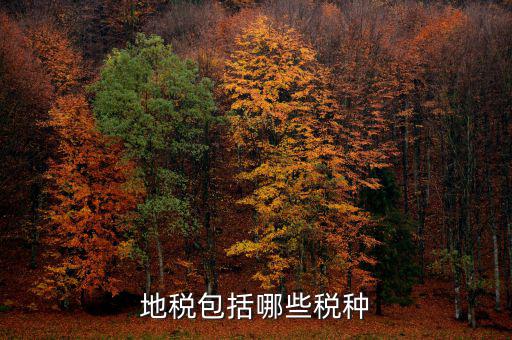 地稅足什么，地稅包括哪些稅種