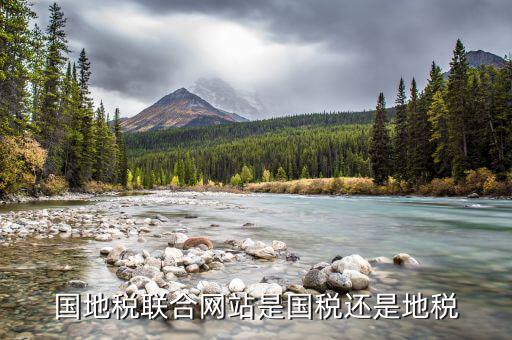 國地稅聯(lián)合是什么，國地稅聯(lián)合稅費申報什么意思