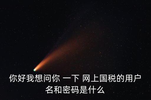 國稅的登錄密碼是什么意思，國稅第一次網(wǎng)上申報的登陸密碼是什么