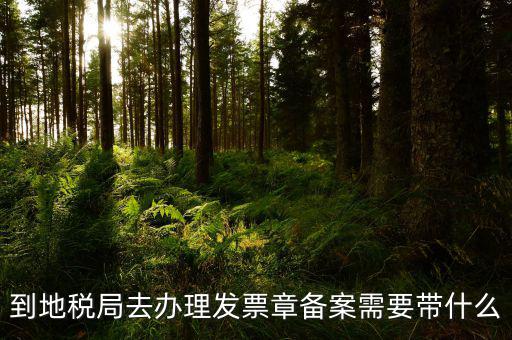 去地稅局備案需要什么，地稅備案需要什么資料