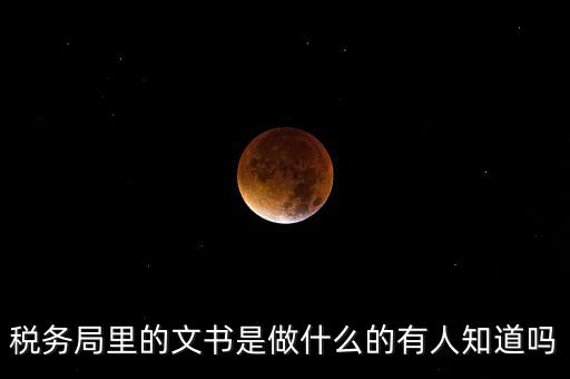 稅務(wù)文書(shū)是什么，急需稅務(wù)文書(shū)格式