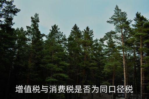 稅收可比口徑什么意思，稅收比重什么意思