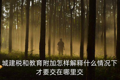 什么時(shí)候有教育費(fèi)附加，子女教育專項(xiàng)附加扣除的起始時(shí)間