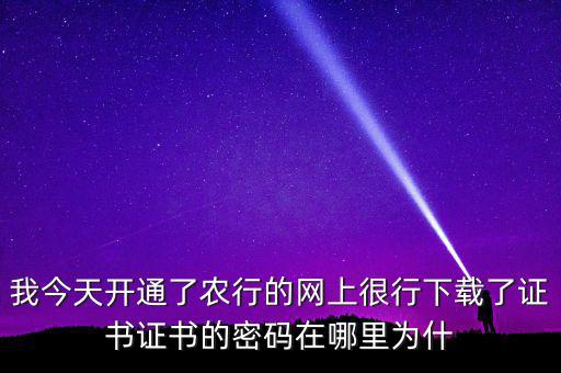 查看證書密碼是什么原因，我今天開通了農(nóng)行的網(wǎng)上很行下載了證書證書的密碼在哪里為什