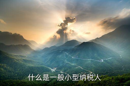 什么是小型納稅人，增值稅小規(guī)模納稅人指什么以及它的具體劃分標(biāo)準(zhǔn)是