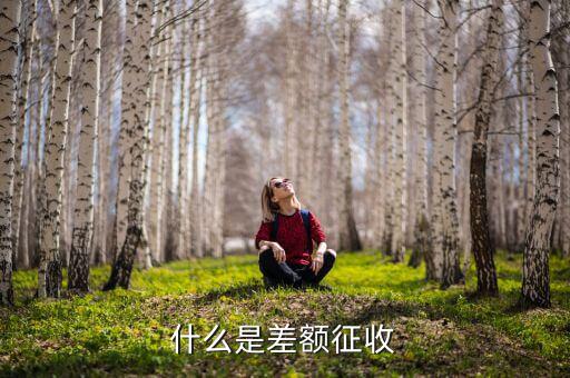 勞務(wù)費(fèi)差額征稅是什么意思，差額稅是啥東西