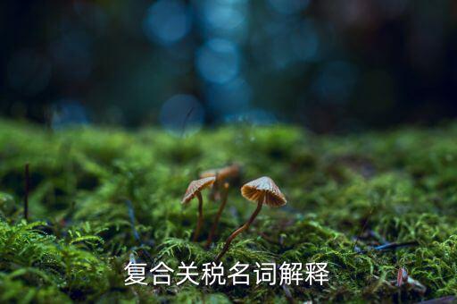 什么東西用復合稅，中國的增值稅是復合稅嗎