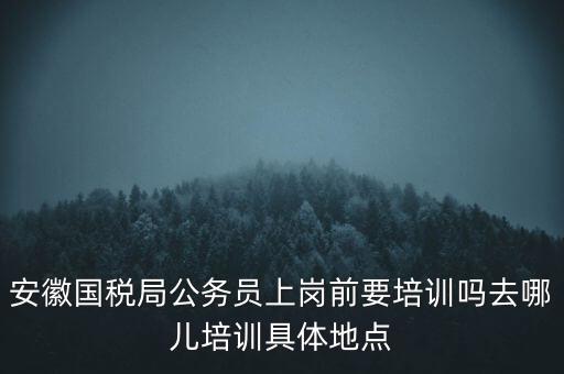 安徽國稅什么時候培訓(xùn)，安徽省稅務(wù)學(xué)校還在嗎那里的教學(xué)樓宿舍和操場都還在嗎沒被拆