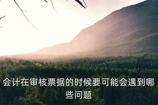 審核憑證會(huì)出什么問題，在審核憑證時(shí)出現(xiàn)這個(gè)問題是怎么回事