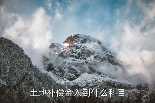 土地政府返還包括什么科目，土地補(bǔ)償金入到什么科目