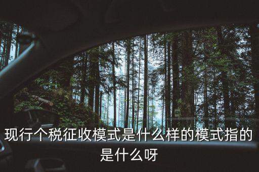 個人征稅系統(tǒng)是什么，你好補(bǔ)交個稅在稅局系統(tǒng)怎樣操作