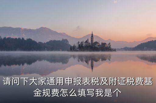 通用申報基金規(guī)費包括什么，請問下大家通用申報表稅及附證稅費基金規(guī)費怎么填寫我是個