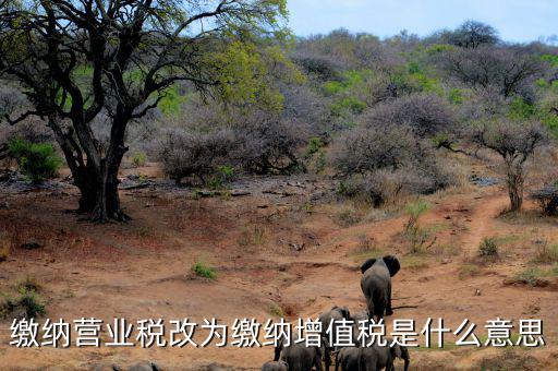 營(yíng)業(yè)稅改為增值稅是什么意思，營(yíng)業(yè)稅改增值稅指的是什么