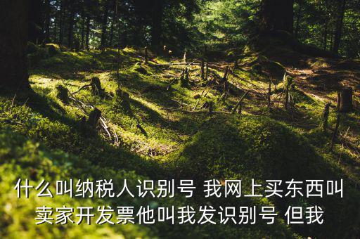 公司納稅識(shí)別號(hào)是什么意思，納稅人識(shí)別碼是什么