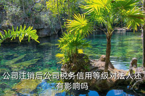 國稅評級有什么影響，納稅評估的作用有哪些