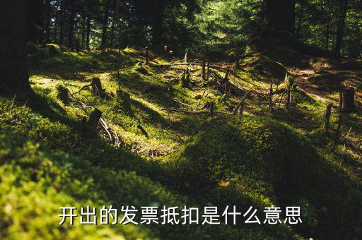 開票抵扣是什么意思，開出的發(fā)票抵扣是什么意思