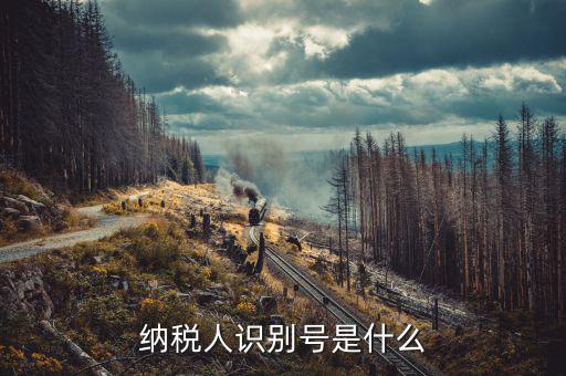 稅務(wù)人識(shí)別號(hào)是什么，稅納人識(shí)別號(hào)是什么東東