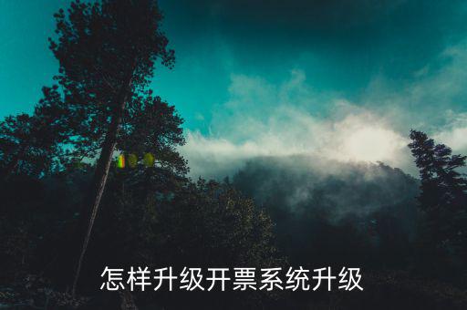 開(kāi)票用什么軟件升級(jí)，怎樣升級(jí)開(kāi)票系統(tǒng)升級(jí)