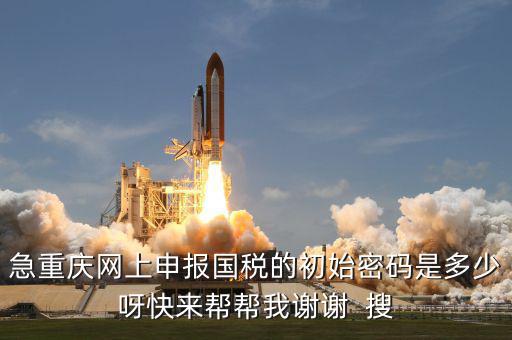 網(wǎng)上國(guó)稅申報(bào)的密碼是什么，急重慶網(wǎng)上申報(bào)國(guó)稅的初始密碼是多少呀快來(lái)幫幫我謝謝  搜