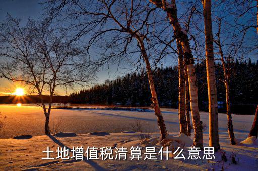 土地增值稅納稅清算什么意思，土地增值稅清算