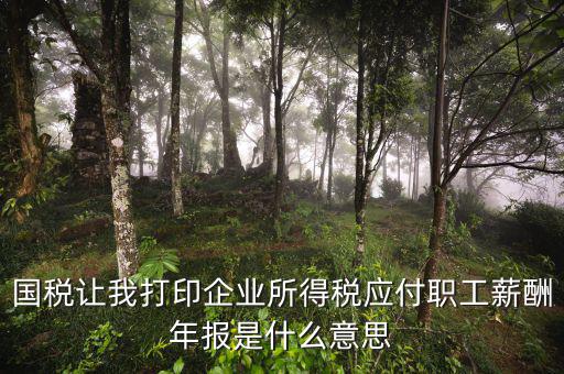 所得稅年報是什么意思，企業(yè)所得稅年報是什么意思怎么報去年4個季度都報了呀我是