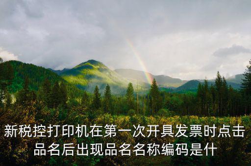 發(fā)票 商品編碼是什么，發(fā)票號碼和發(fā)票代碼是什么我的發(fā)票上只有單據(jù)編碼和貨品編號啊