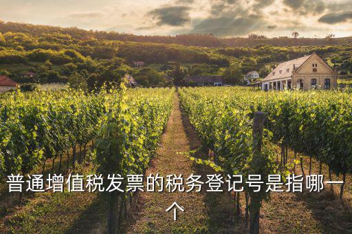 什么是增值稅登記號碼，增值稅登記號