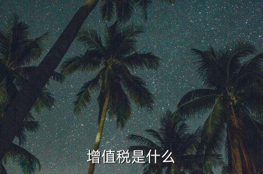 增值稅增值部分是什么，財(cái)務(wù)上增值部份是指什么如進(jìn)項(xiàng)發(fā)票為10萬銷項(xiàng)發(fā)票為30萬兩項(xiàng)