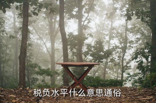 稅收管理水平是指什么，稅務(wù)管理的定義