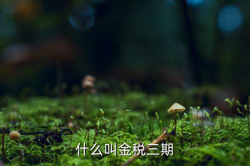 為什么叫金稅三期，2016年金稅三期上線那金稅三期到底是啥呢
