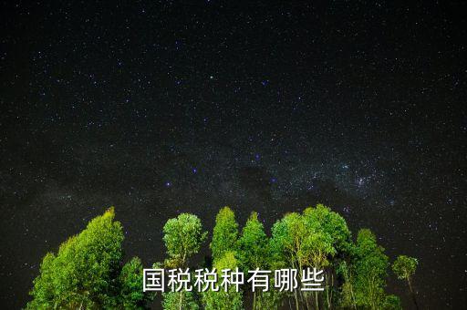 國(guó)稅都有什么稅，國(guó)稅包括哪些啊