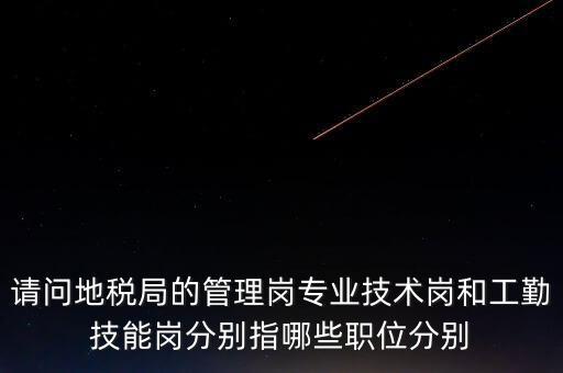 地稅局工勤是什么，地稅局正式干部是什么意思