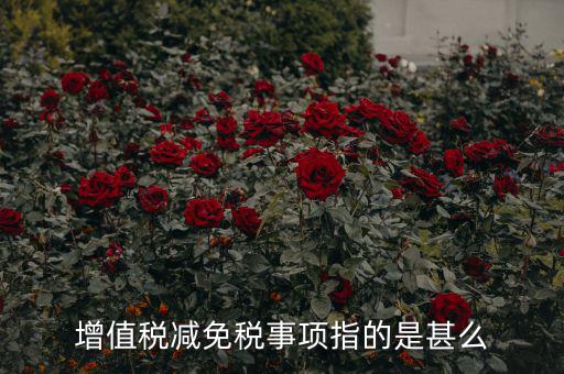 什么是減免稅申報，增值稅減免稅事項指的是甚么