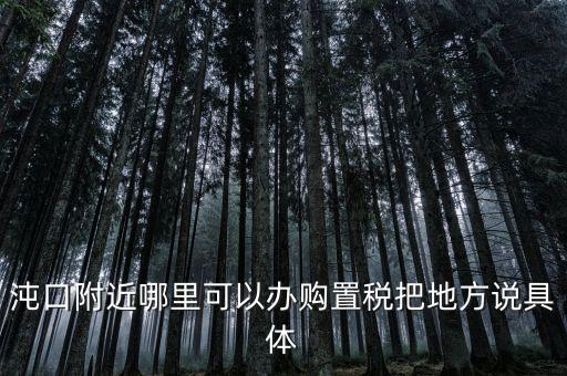 漢陽(yáng)稅務(wù)局什么車(chē)，沌口附近哪里可以辦購(gòu)置稅把地方說(shuō)具體