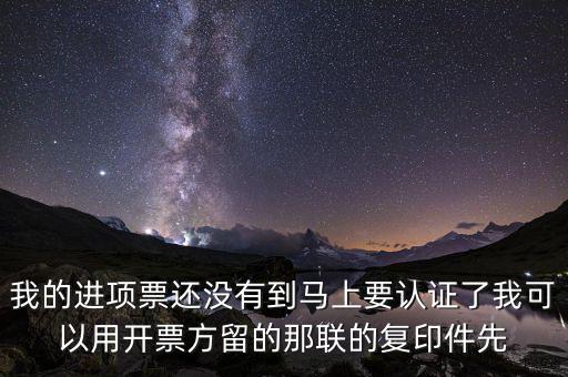 納稅清單驗(yàn)證碼是什么，我的進(jìn)項(xiàng)票還沒有到馬上要認(rèn)證了我可以用開票方留的那聯(lián)的復(fù)印件先