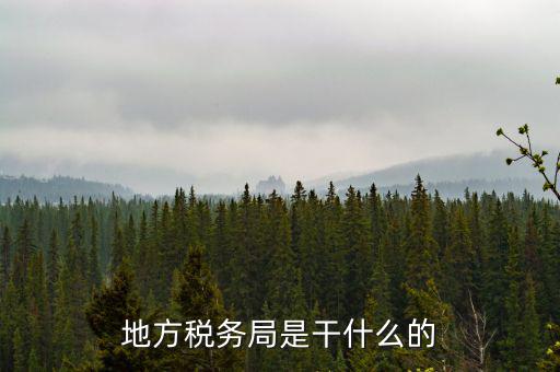 地稅局涉外稅收做什么，陜西發(fā)票涉外地稅是什么意思