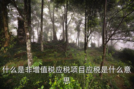成品油應(yīng)稅和非應(yīng)稅是什么意思，什么是非增值稅應(yīng)稅項(xiàng)目應(yīng)稅是什么意思