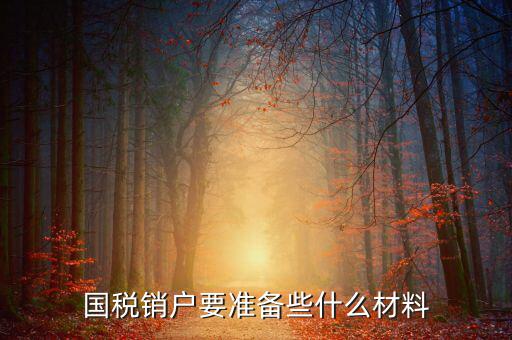 去國稅銷戶需要帶什么資料，國稅注銷需要哪些材料
