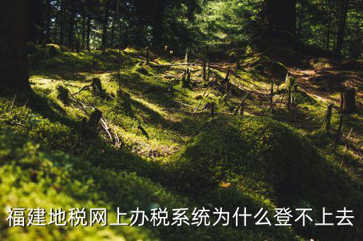 企業(yè)所得稅系統(tǒng)為什么登不上，福建地稅網(wǎng)上辦稅系統(tǒng)為什么登不上去