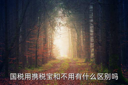 稅寶是什么，國稅用攜稅寶和不用有什么區(qū)別嗎