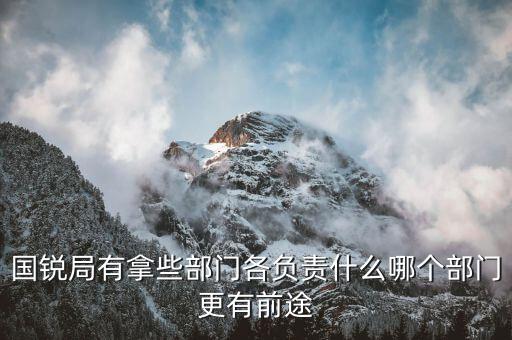 國(guó)銳局是辦什么，深圳公司入黑名單注銷(xiāo)吊銷(xiāo)