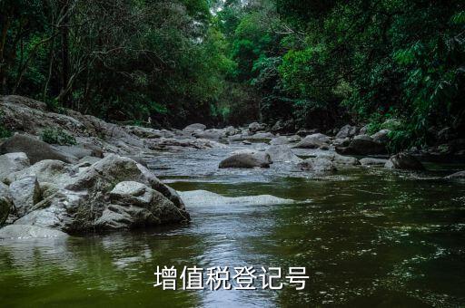 國家增值稅號是什么，增值稅登記號