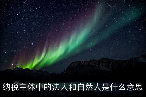 稅務局自然人綁定是什么意思，納稅主體中的法人和自然人是什么意思