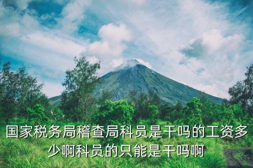 稅務局督查內(nèi)審科是干什么工作的，做賬專門給稅務局檢查的職業(yè)是什么