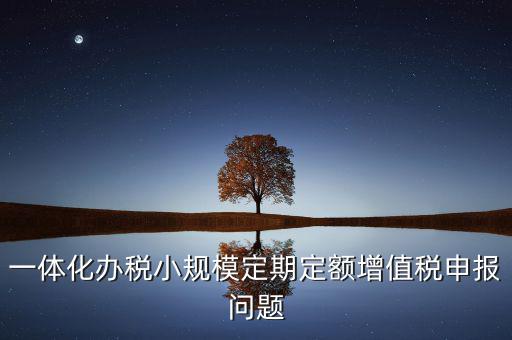 非定期定額戶申報(bào)是什么意思，一體化辦稅小規(guī)模定期定額增值稅申報(bào)問題
