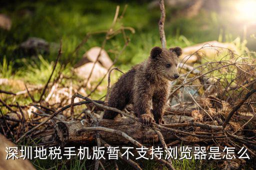 深圳國稅網站用什么瀏覽器打開，國稅網為什么看不到增值稅申報表平時一打開這個頁面就可以點擊看