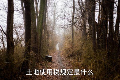 大宗商品土地使用稅指什么，土地使用稅