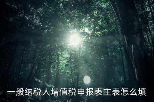 一般納稅人主表是什么，一般納稅人增值稅申報表主表怎么填