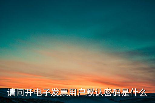 重慶國稅電子發(fā)票登錄密碼是什么意思，國稅局發(fā)票軟件里用戶代碼和密碼是什么